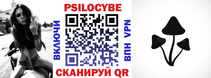 Псилоцибиновые грибы мицелий  площадка формула  Пионерский  хочу наркоту 